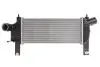 Интеркулер THERMOTEC DA1001TT (фото 1)