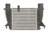 Интеркулер THERMOTEC DA1003TT (фото 2)