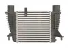 Интеркулер THERMOTEC DA1003TT (фото 4)