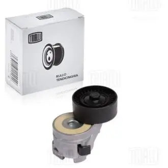 Ролик приводного. ремня с натяж. мех. для а / м Fiat Ducato (06-) 2.3 JTD Trialli CMS 1604