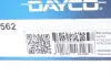 Комплект ГРМ DAYCO KTB562 (фото 4)