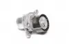Натяжная планка, поликлиновой ремень Schaeffler gruppe 534 0281 10 (фото 1)