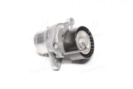 Натяжна планка, поліклиновий ремінь Schaeffler gruppe 534 0281 10