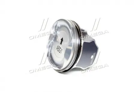 Поршень GM 25190026