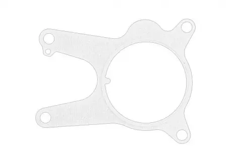 Прокладка вакуумного насоса Fiat/Alfa/Lancia 71779194