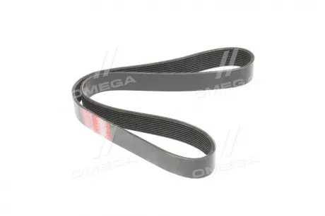 Фото 1 - ремінь поліклін. 10PK1145 TRUCK RIDER RD 10PK1145EPDM Ремінь поліклін. 10PK1145 TRUCK RIDER RD 10PK1145EPDM (фото 1)