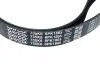 Ремень генератора 6PK1865 Lifan X60 DAYCO LFB479Q-1025015A (фото 3)