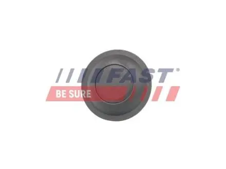 Кнопка открыв задней двери CITROEN Jumper 06-14; FIAT Ducato 06-н.в.; PEUGEOT Boxer 06-14 FAST FT95590