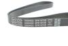Ремень П-клиновой DAYCO 5PK1072S (фото 4)