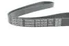 Ремень П-клиновой DAYCO 5PK1072S (фото 4)