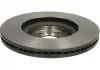 Диск тормозной BREMBO 09.N256.21 (фото 2)