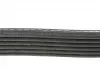 Ремень генератора DAYCO 6PK1555S (фото 2)