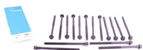 Болты головки VICTOR REINZ 14-12623-01