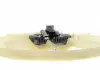 Муфта вентилятора з крильчаткою BorgWarner AM-20004442-M (фото 4)