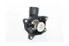 Термостат LAND ROVER FREELANDER (LN_) 2.0 TD4 4X4 ASAM 77117 (фото 1)