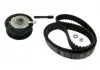 Роликовый модуль натяжителя ремня (ролик, ремень) SKF VKMA 01015 (фото 3)