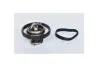 Термостат FORD FUSION (73379) ASAM