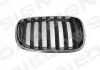 Решітка радіатора BMW X5 (E70) BM07053GAR