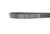 Ремень поликлиновой DAYCO 7PK1334S (фото 3)