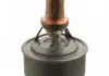 Термостат Renault R19 / R21 (пр-во FEBI) 09336