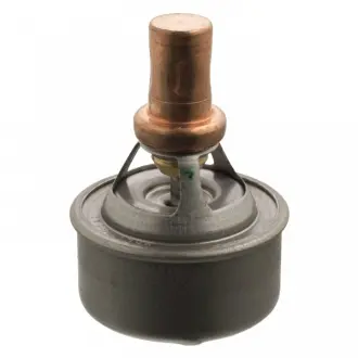 Термостат Renault R19 / R21 FEBI 09336