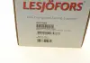 Пружины подвески LESJOFORS 4227562 (фото 6)