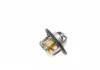 Термостат Opel MAGNETI MARELLI 352317101090 (фото 5)