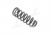 Пружина двойной. Geely Emgrand задн. RIDER RD.28110115 (фото 1)