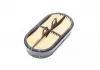 Фильтр воздушный Bamford (пр-во) MANN CF2120 (фото 2)