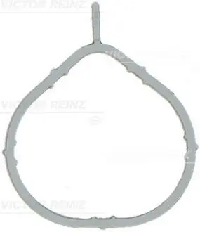 Прокладки двигателя VICTOR REINZ 71-17066-00