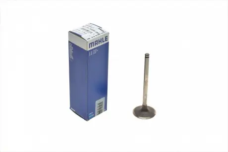 Клапан (впуск) MAHLE KNECHT 021 VE 30386 000