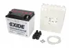 Акумулятор EXIDE Y60N24LAEXIDE (фото 1)