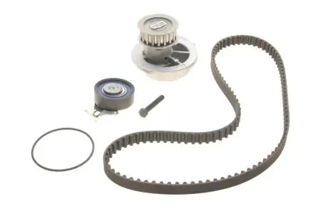 Водяной насос + комплект зубчатого ремня SKF VKMC 90202