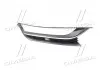 Решетка бампера пер. пра. VW PASSAT B7 11-15 (TEMPEST) 051 4629 924