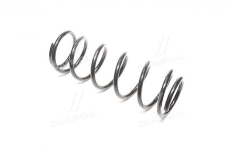 Пружина двойной. CHERY QQ задн. RIDER RD.28110106