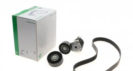 Комплект ременя INA 529 0049 10