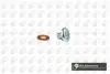 Маслосливная пробка Berlingo / Focus / Fiesta 94- (10x18) PK1404