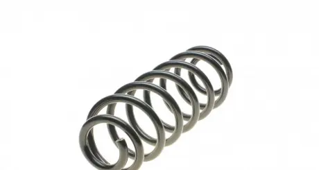 Пружина (задняя) SOLGY 212046