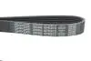 Ремень поликлиновой DAYCO 6PK972 (фото 4)