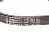 Комплект ременя Contitech 6PK1750K1 (фото 7)