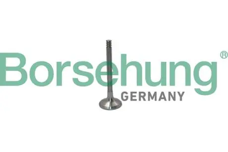 Клапан випускний Borsehung B19012