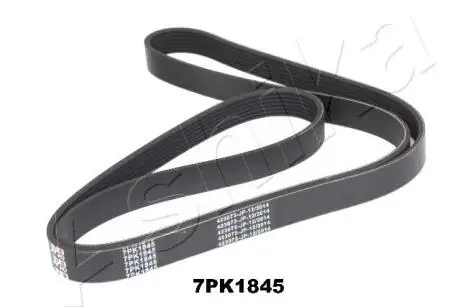 Пас полікліновій ASHIKA 1127PK1845