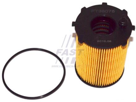 Фильтр масляный CITROEN BERLINGO 96-18, C4 AIRCROSS 12-17, C-ELYSEE 12-н.в., JUMPY 07-16 FAST FT38075