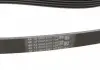 Комплект ремня Contitech 5PK1150K1 (фото 3)