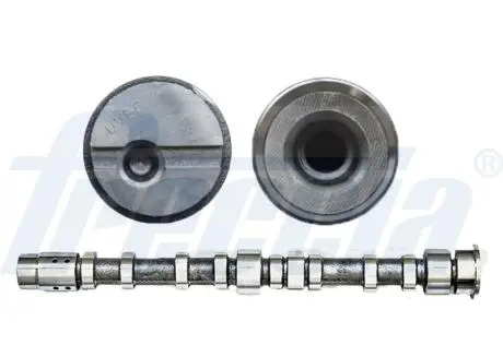Распределительный вал FRECCIA CM05-2197