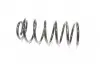 Пружина двойной. VW Golf III 94-97 передние. (RIDER) RD.34110095
