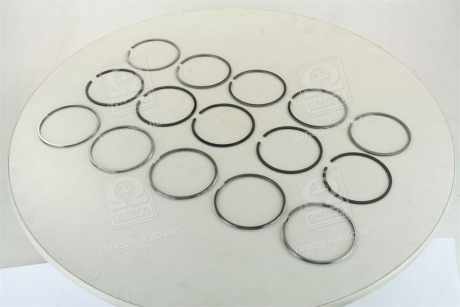 Кольца поршневые VAG 5 Cyl. 81,00 2,5 x 2,0 x 3,00 mm SM 795041-00-5 (фото 1)