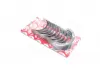 Вкладиші корінні FIAT/OPEL STD 1,3JTD 188A9.000/199A2.000/223A9.000/Z13DT/DTH/DTJ SM 403502004 (фото 3)