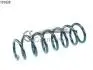Пружина подвески передняя 14101626