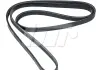 Ремень поликлиновый 4PK1520